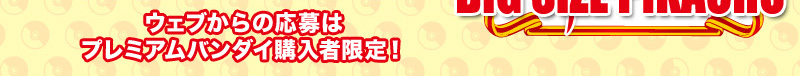�E�F�u����̉���̓v���~�A���o���_�C�w���Ҍ���I