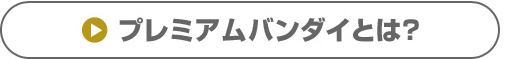�v���~�A���o���_�C�Ƃ́H