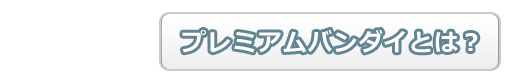 �v���~�A���o���_�C�Ƃ́H