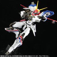 ��SPEC XS-17 XD-01SR �h���O�i�[1�J�X�^��