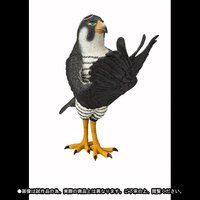 �t�B�M���A�[�c ZERO Artist Special �j�R�E���r�� as �n���u�T