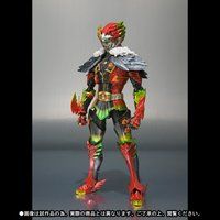 S.H.Figuarts �A���N�i�O���[�h�ԁj