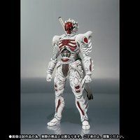 S.H.Figuarts �D�j�\��