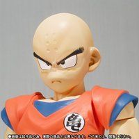 S.H.Figuarts �N������