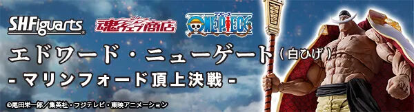 ONE PIECEシリーズ｜バンダイナムコグループ公式通販サイト